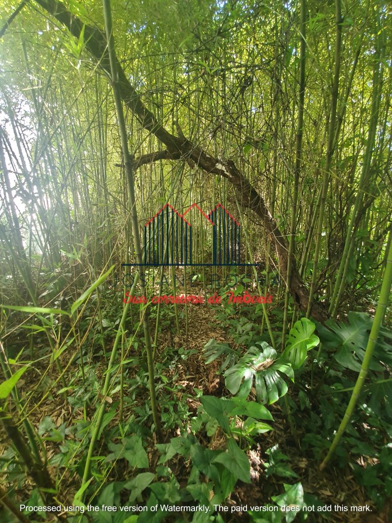 Terreno à venda na Rua Dr. Catrambi!!! Próximo ao Largo da Usina!!! rj