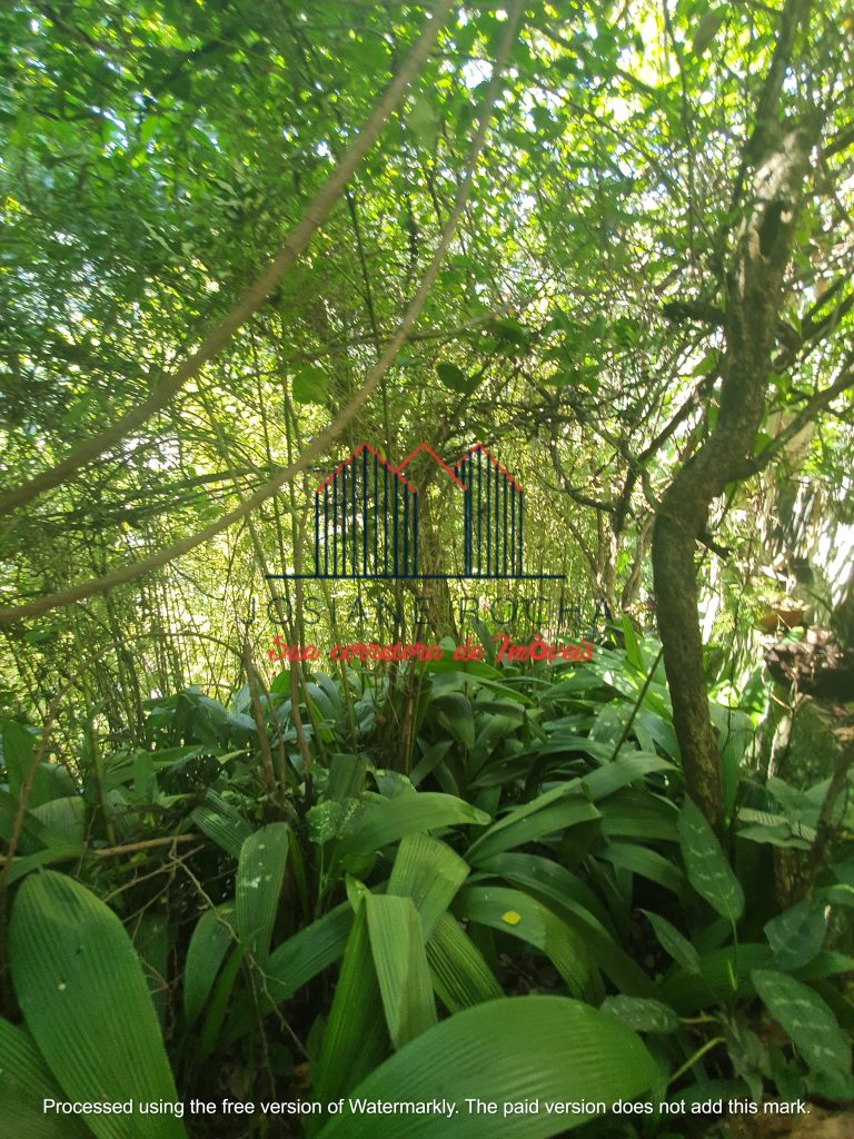 Terreno à venda na Rua Dr. Catrambi!!! Próximo ao Largo da Usina!!! rj